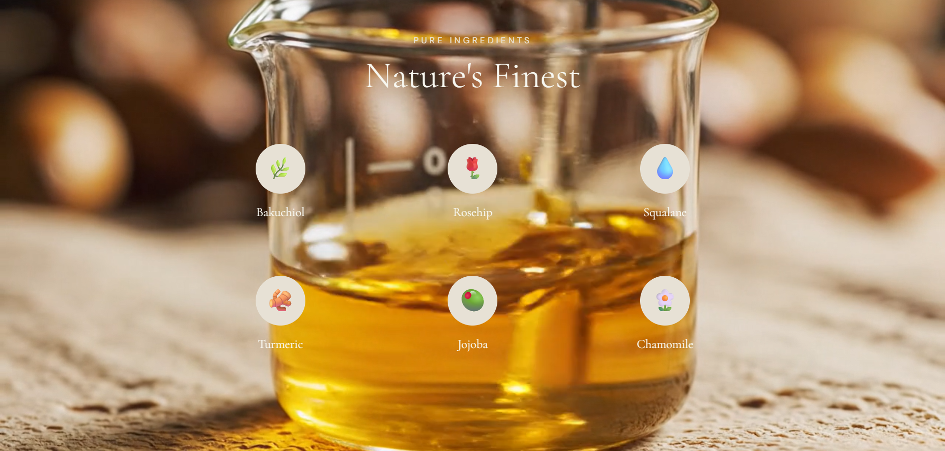 TÉRRA website design mockup